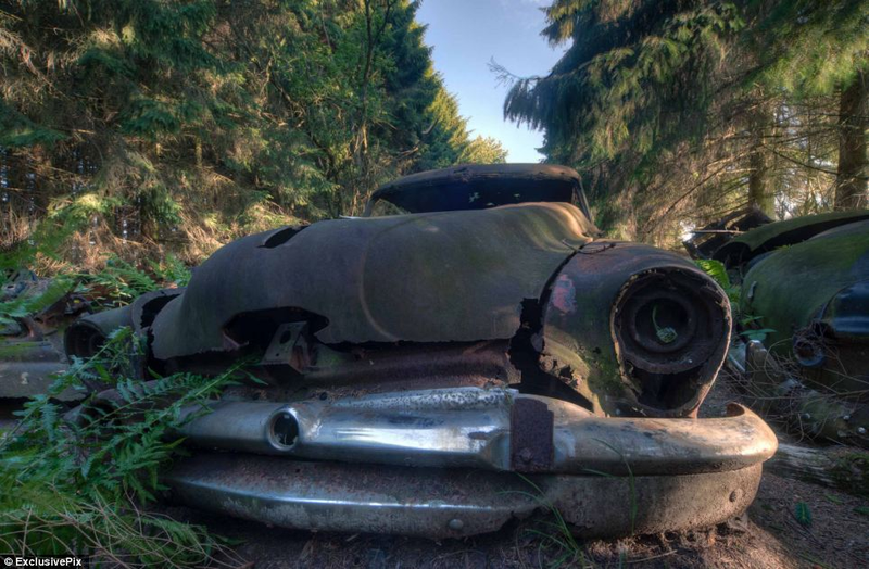 Illustration for article titled Chatillon, Belgium. The Graveyard Of The Cars Of The American Soldiers Deployed In Europe, Who Didn't Take Them Back To The U.S.A.